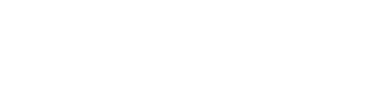 The Zone BJJ